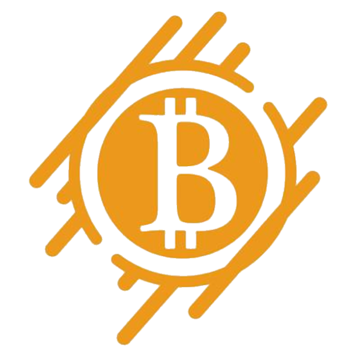 Bitcoin Logo